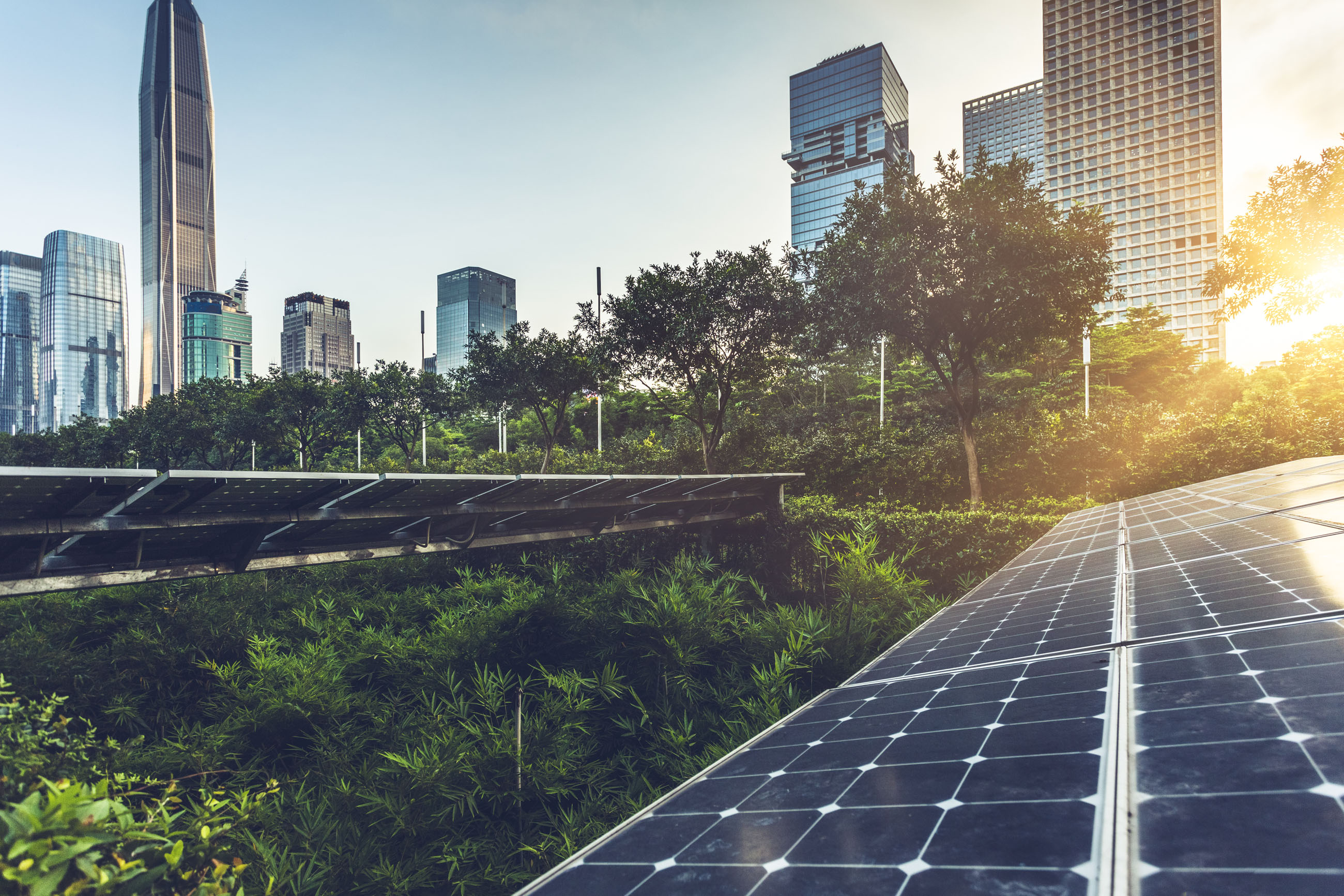 SAP Accelerates Climate Protection to Achieve Carbon-Neutrality by 2023