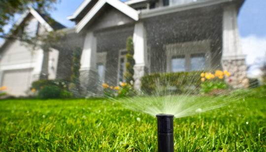 Christchurch City Council and SAP drive a 13% reduction in water usage over summer