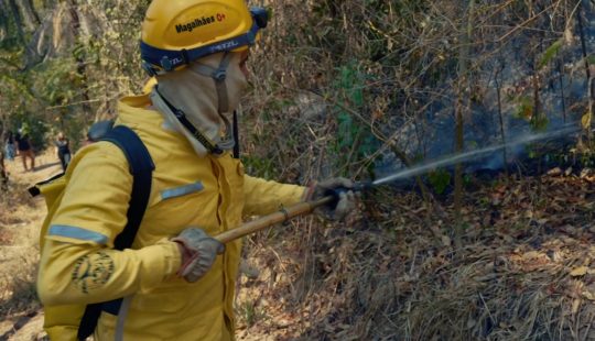 Tecnologia SAP ajuda brigadistas a combater incêndios florestais e preservar fauna e flora em Brumadinho/MG