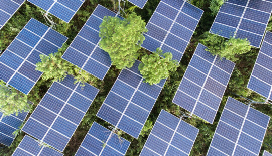 Solarpack: sonnige Aussichten dank erneuerbarer Energien