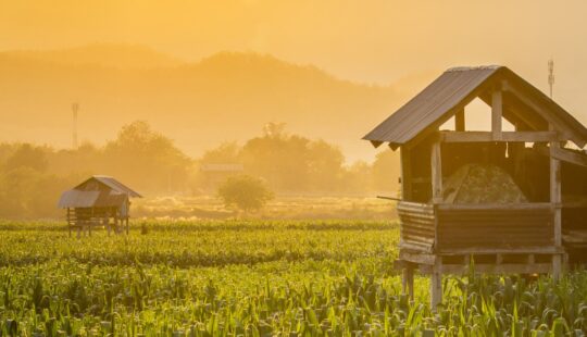 Digitale Öko-Landwirtschaft: SAP Japan unterstützt entlegene Dörfer