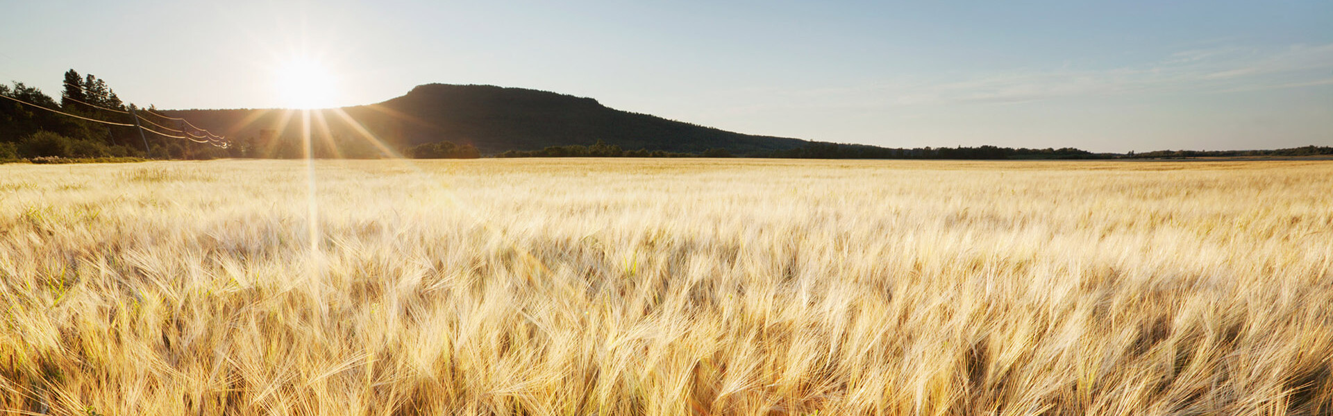 CNH entwickelt modernes Mitarbeitererlebnis auf cloudbasierter HR-Basis