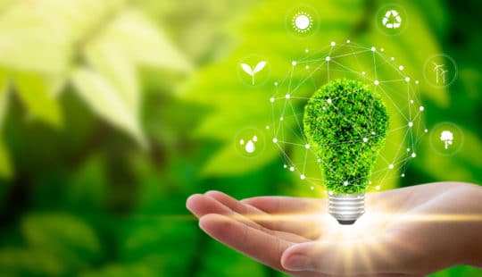 59% of Indian businesses see positive connection between environmental action and profitability: SAP Study