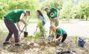 환경을 생각하며 나무를 심는 자원봉사자