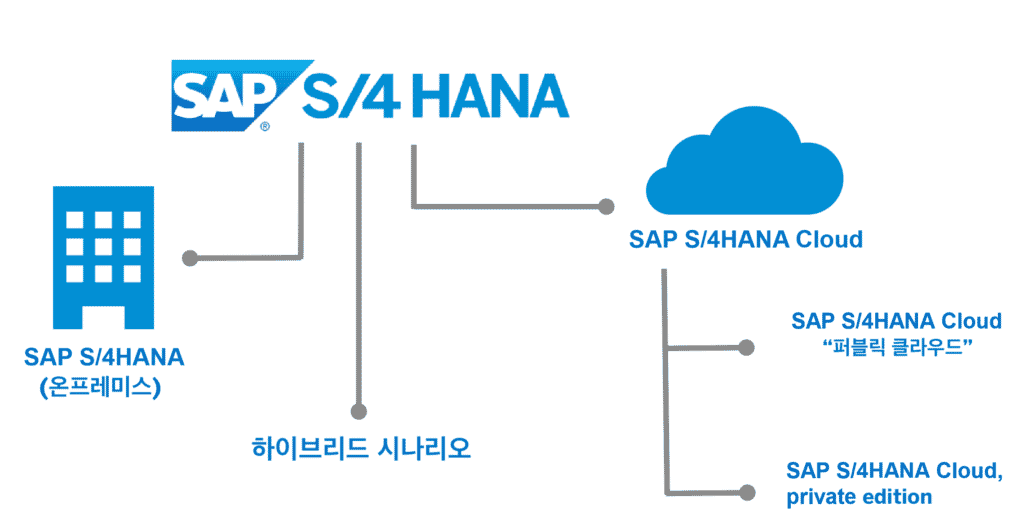 SAP S/4HANA 배포 옵션