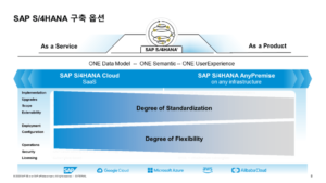 지능형 ERP 배포 옵션