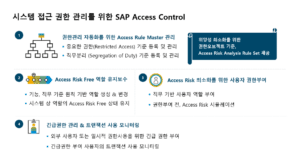 SAP 액세스 컨트롤