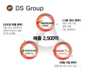 DS그룹 주요 계열사 도표