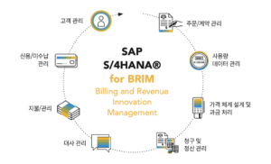 빌링 수익 혁신 관리(SAP BRIM) 프로세스