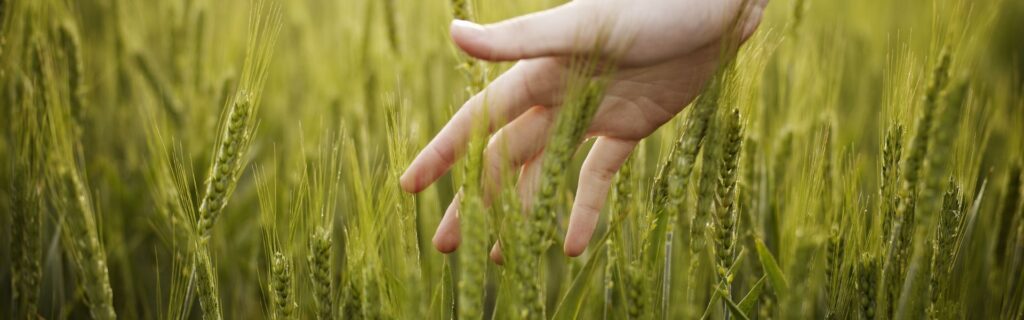 Hand touching nature