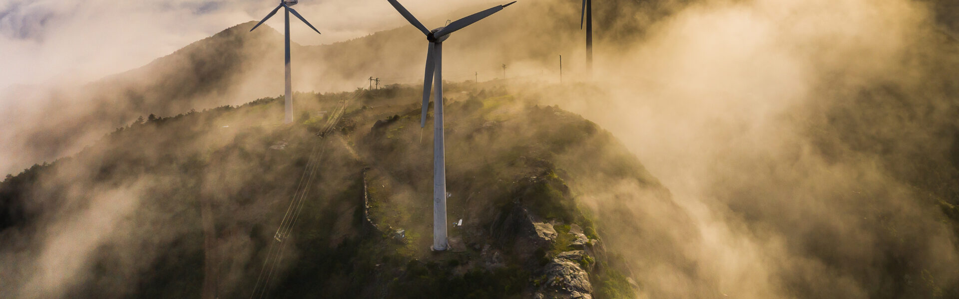 Cómo gestionar y compensar las emisiones de carbono, uno de los retos empresariales abordados durante la COP16