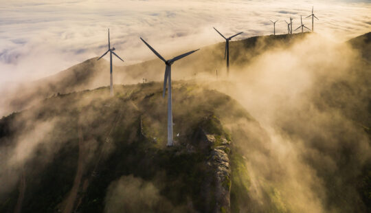 Cómo gestionar y compensar las emisiones de carbono, uno de los retos empresariales abordados durante la COP16