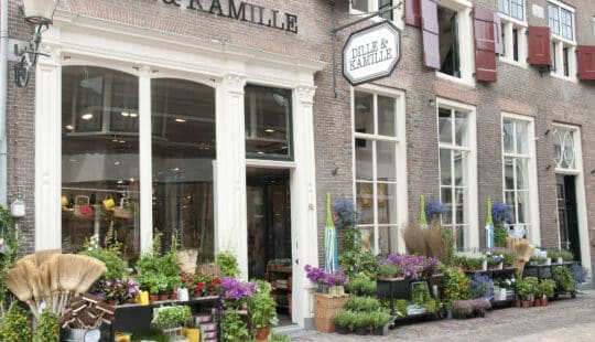 Dille & Kamille digitaliseert HR met SAP SuccessFactor