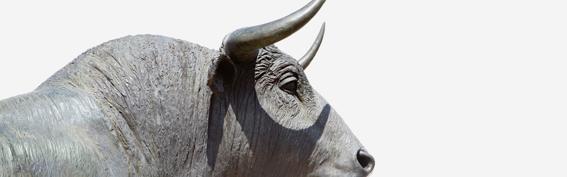 Persevere With The Spirit of Ox: Building Interconnectivity For Midmarket