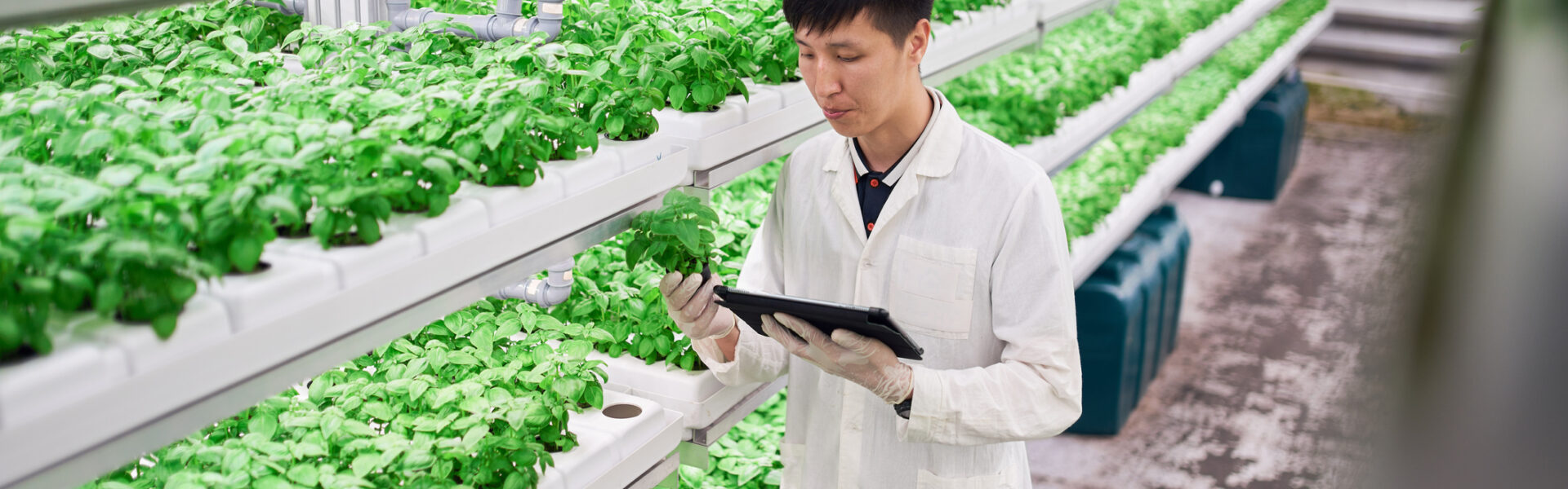 CP Foods Selects SAP for Cloud Sustainability
