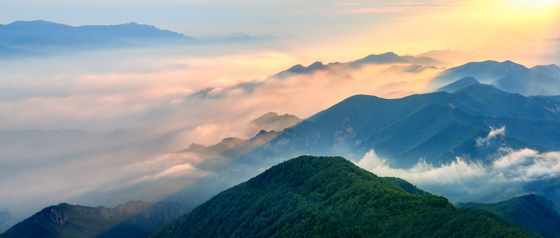 Grow with SAP prináša stredne veľkým zákazníkom overené výhody cloudového ERP