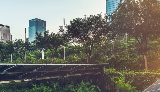 Grön molnstrategi kvalificerar SAP till ett av världens 100 mest hållbara företagen