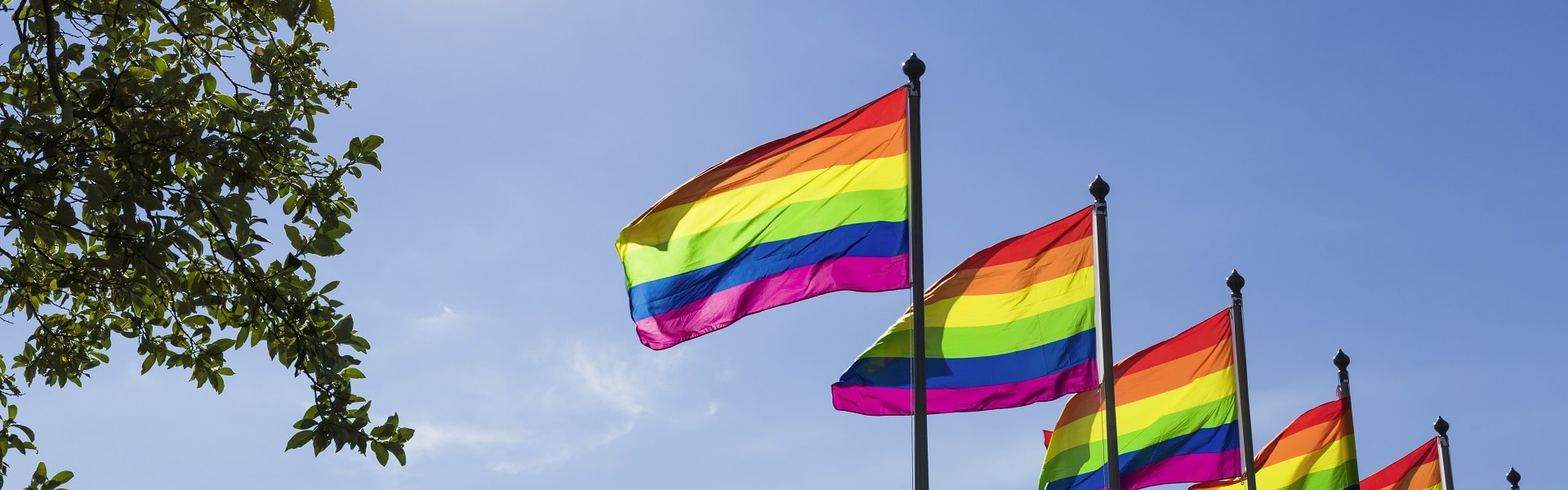 Pride@SAP: Why We’re Proud To Shout About Diversity And Inclusion