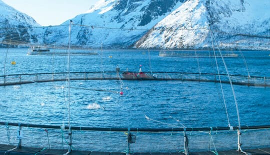 When is a Norwegian Salmon a Norwegian Salmon? When EY Skye’s Blockchain Solution Says So