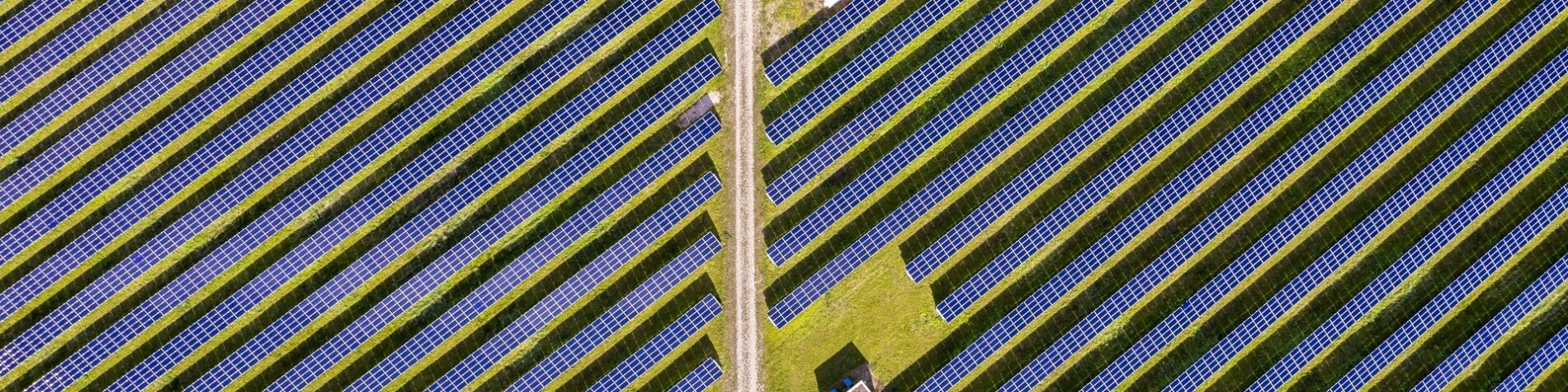 The Take: Solar Power Generation Is Booming in the U.S.