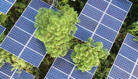 SAP and EKOenergy Partner for a Renewable Future