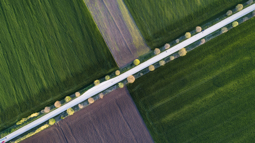 Aerial view of a straight road between the cultivated fields and trees.