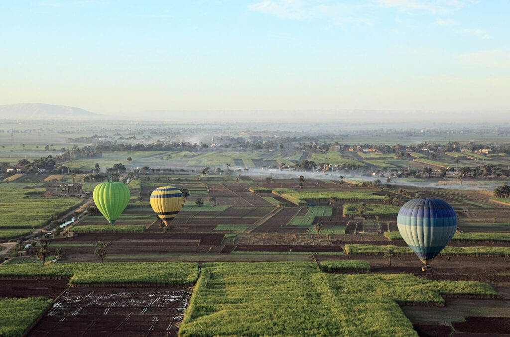 Hot air balloons over fields