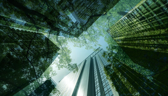 What Industry Analysts Say About SAP Sustainability
