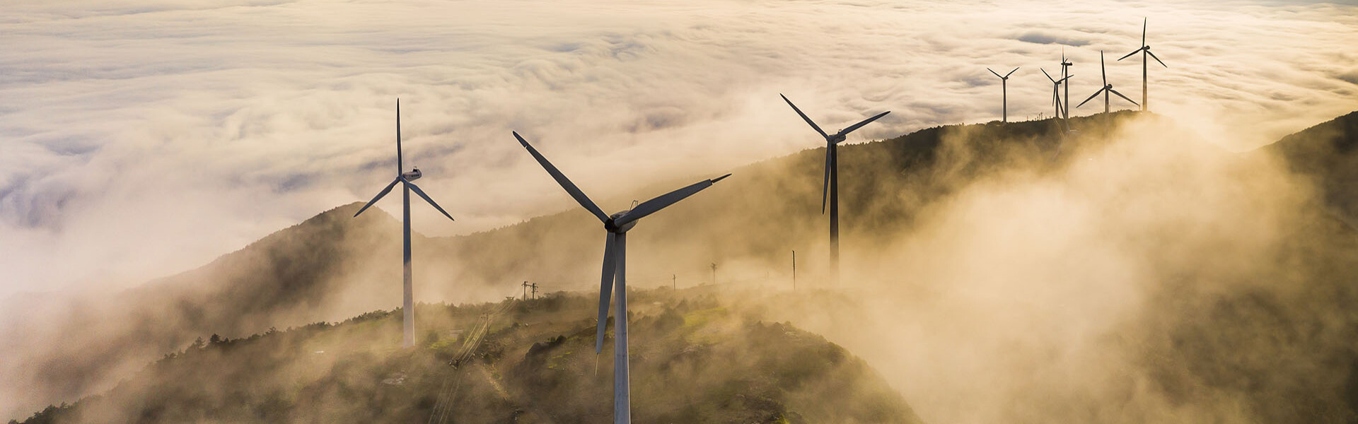 Private Equity and Renewable Energy: How Investors Can Set Themselves Up for Digital Transformation Success