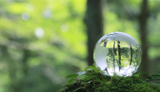 SAP Recognized as One of the World’s Most Sustainable Companies in 2024