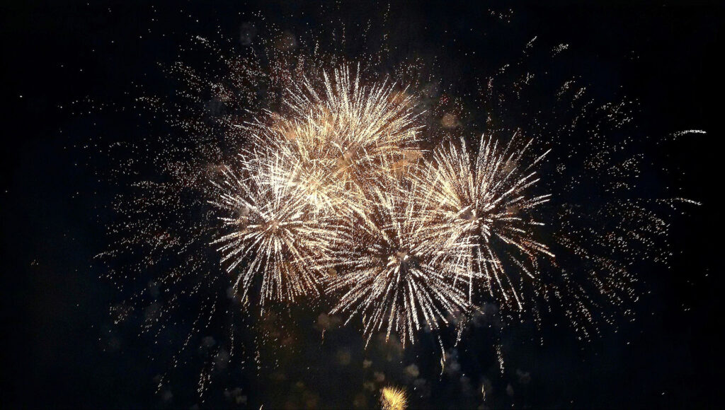 Firework display at night