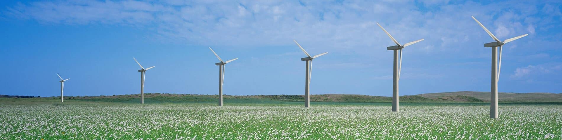 Accelerating the Sustainable Energy Transition with SAP’s Industry Cloud