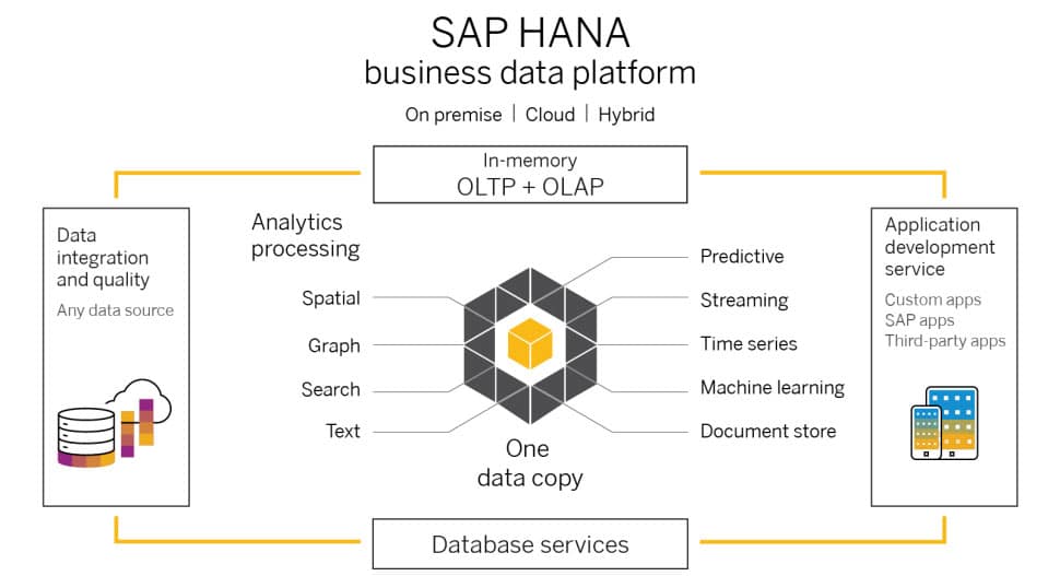 SAP HANA Era: Business Data Platform for All Applications