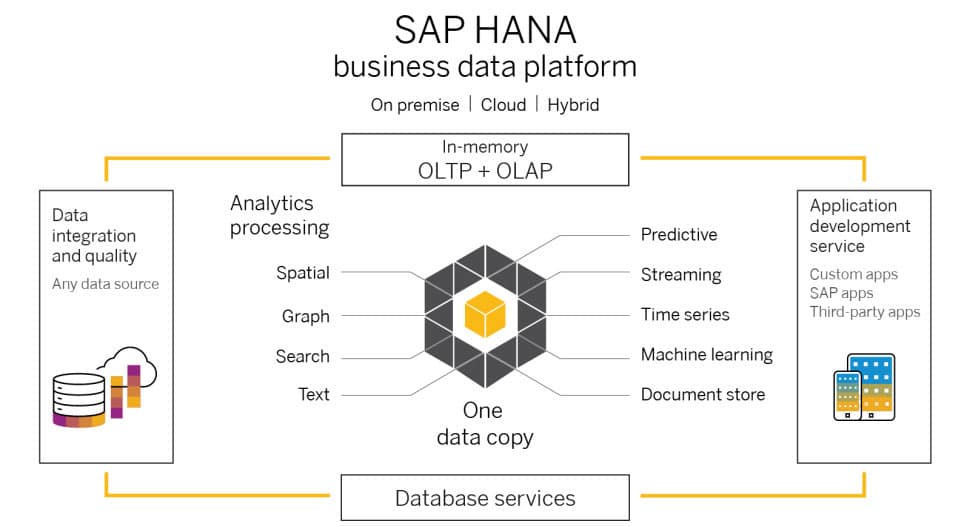 Data Management  SAP Business Technology Platform