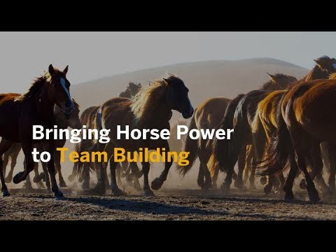 Bringing Horse Power to Team Building: Horse-Assisted Coaching at SAP