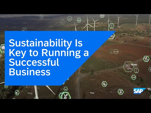 Most Businesses Say Sustainability Contributes to a Competitive Edge