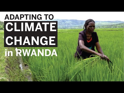 Adapting to Climate Change in Rwanda