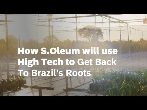 How S.Oleum Will Use High Tech to Get Back to Brazil’s Roots