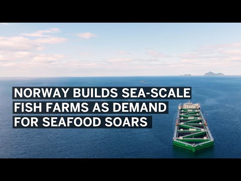 Norway Builds Sea-Scale Fish Farms as Demand for Seafood Soars