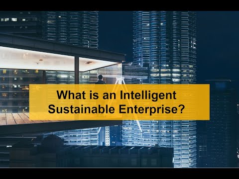 What is an Intelligent, Sustainable Enterprise?